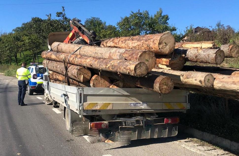 Acțiune de amploare a autorităților pentru depistarea hoților de lemne. Captura impresionantă a polițiștilor  681479