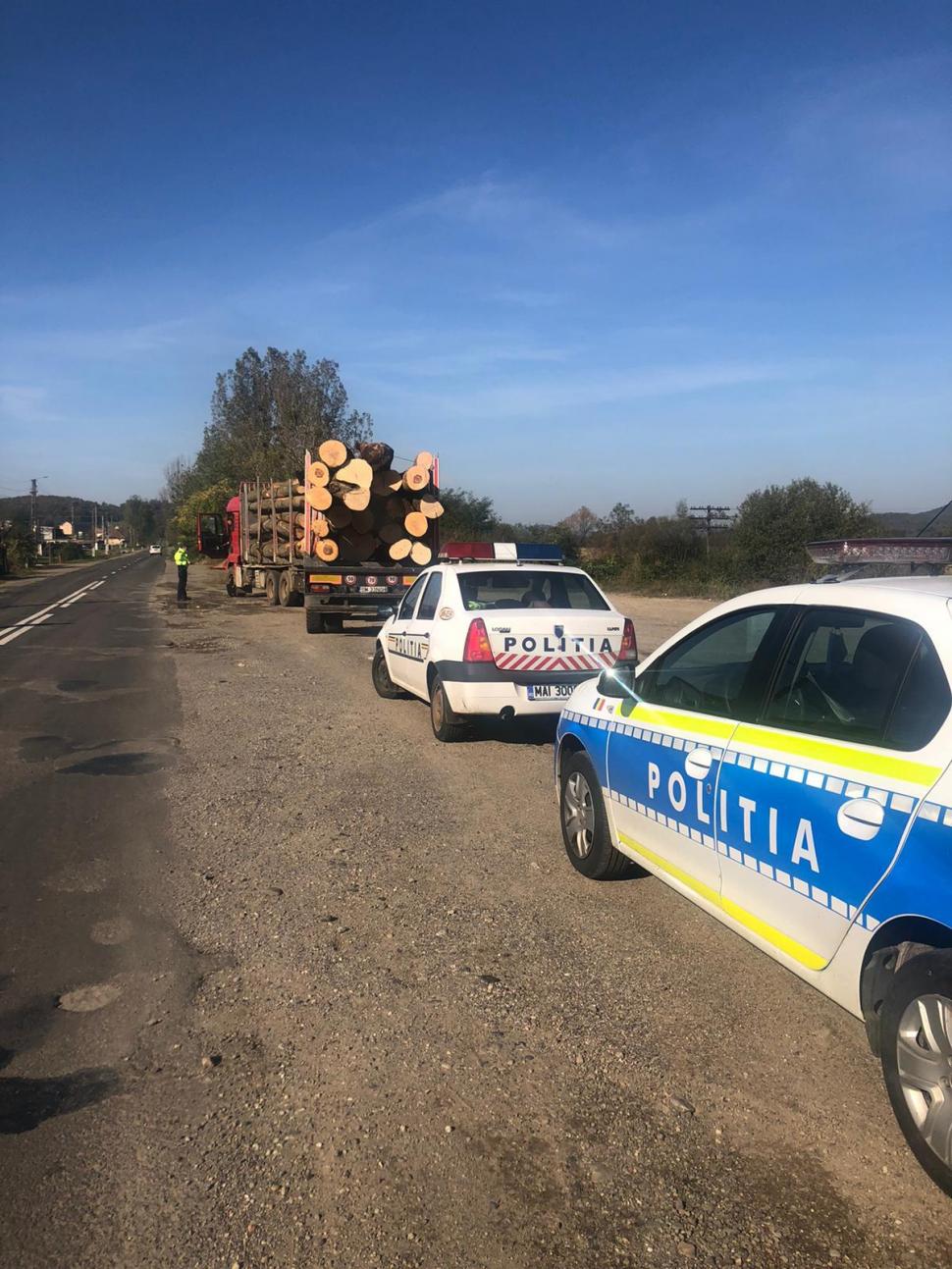Acțiune de amploare a autorităților pentru depistarea hoților de lemne. Captura impresionantă a polițiștilor  681480