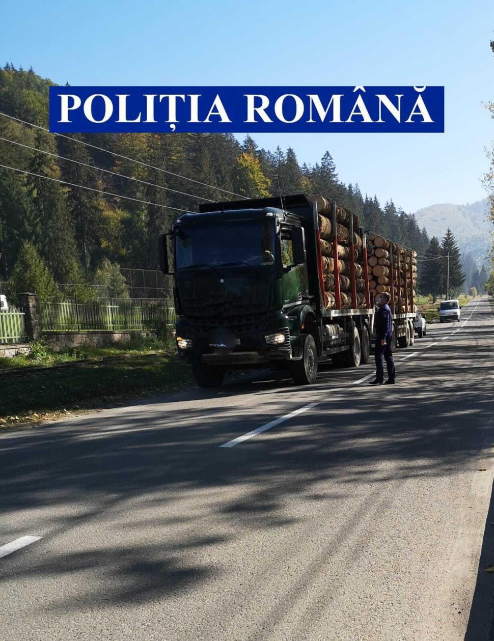 Acțiune de amploare a autorităților pentru depistarea hoților de lemne. Captura impresionantă a polițiștilor  681481