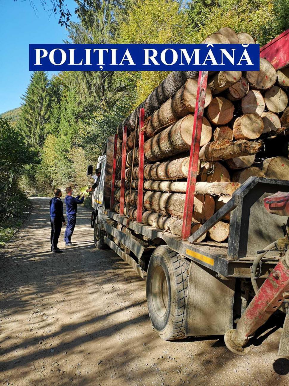 Acțiune de amploare a autorităților pentru depistarea hoților de lemne. Captura impresionantă a polițiștilor  681483