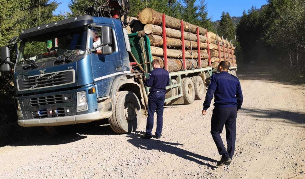 Acțiune de amploare a autorităților pentru depistarea hoților de lemne. Captura impresionantă a polițiștilor 