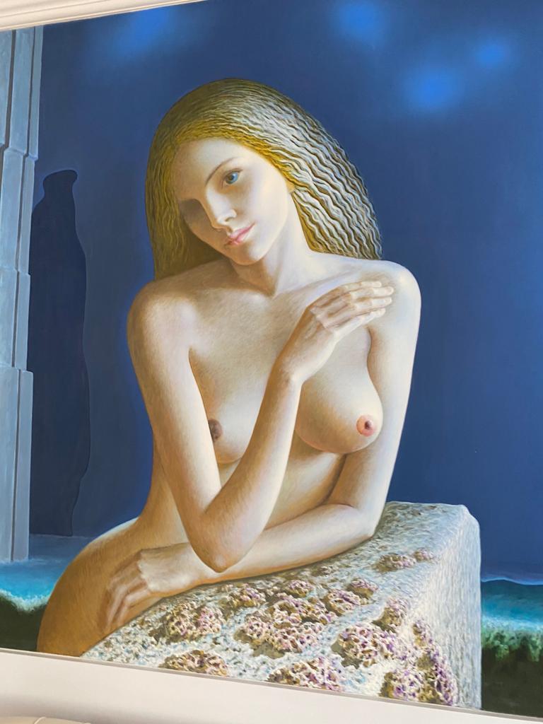 Imagini cu vila de la Izvorani înainte de a lua foc. Cum arăta casa în care a locuit Irinel Columbeanu 682264