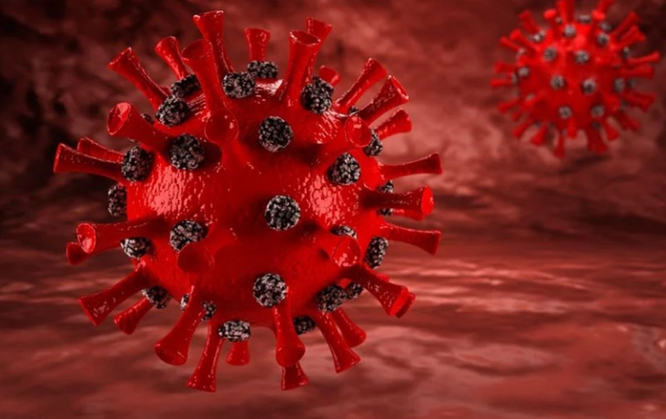 A fost descoperit un nou virus mortal. Se poate transmite de la om la om!