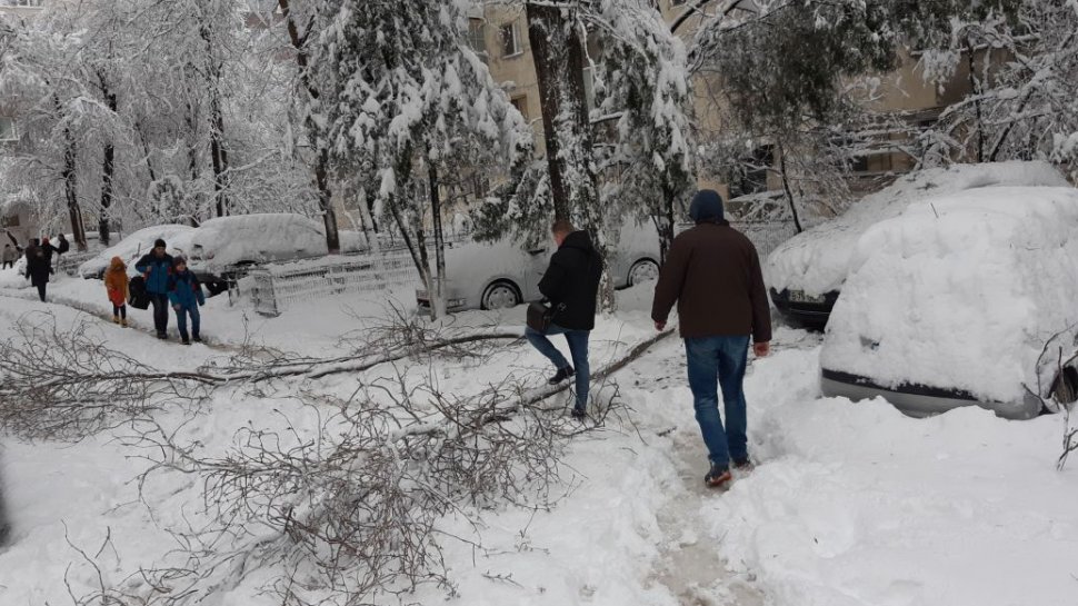 Iarna și-a intrat oficial în drepturi! Zăpadă a acoperit mai multe drumuri din ţară