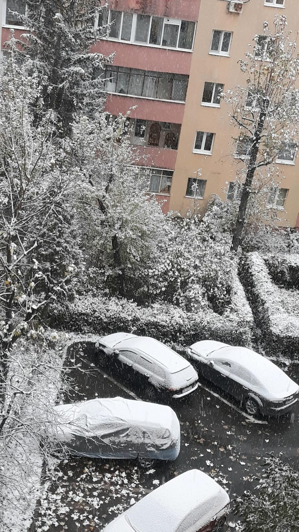 A nins ca-n poveşti în zona montană, în această noapte. Stratul de zăpadă de apropie de 10 centimetri (Galerie foto) 684742