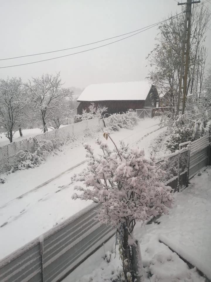 A nins ca-n poveşti în zona montană, în această noapte. Stratul de zăpadă de apropie de 10 centimetri (Galerie foto) 684746