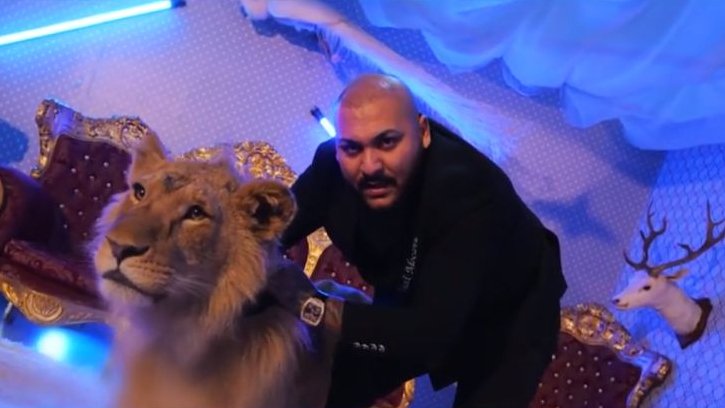 Dosar penal pentru cântărețul de manele Dani Mocanu, după ce a filmat un videoclip în care apare un leu rănit și subnutrit