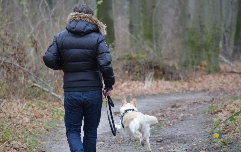 Amenda primită de un hunedorean prins că își plimba câinele, deși trebuia să stea în carantină