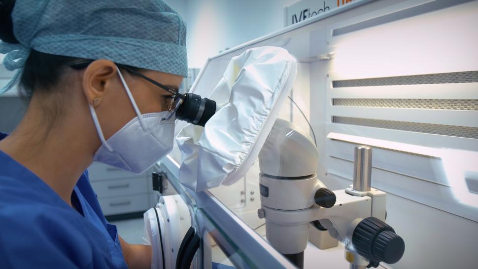 Regina Maria inaugurează la Cluj primul Centru de Fertilitate și Fertilizare in vitro din Rețea 686142