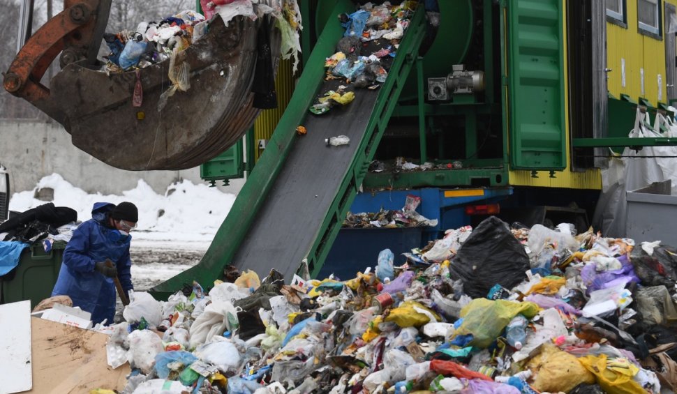 Legea compostului se aplică de la 1 ianuarie! Ce amenzi riscă românii care nu colectează separat deșeurile vegetale