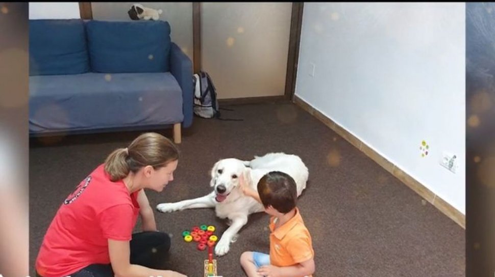 Câinii-terapeţi care ajută copiii cu probleme