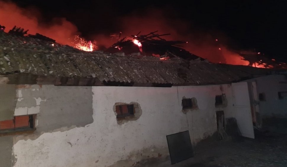 Incendiu de amploare la o fermă de păsări din Botoșani: Peste șase mii de pui au murit