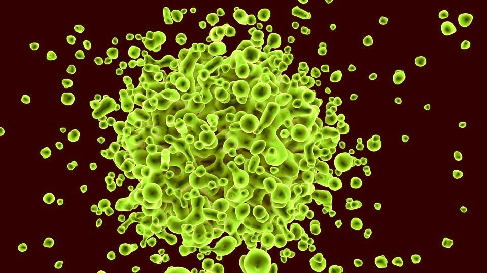 Un nou virus periculos alertează specialiștii din lumea întreagă. Are o mortalitate mare și nu există tratament 