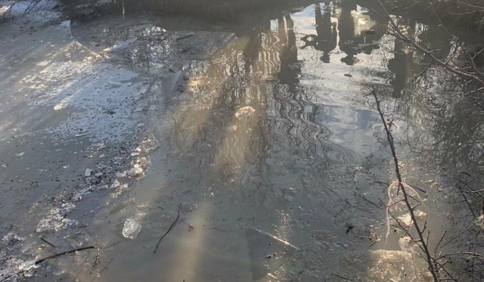 Un cioban din Olt este căutat de scafandrii într-un pârâu din județ: A dispărut iar oile pe care le păstorea au fost găsite moarte în apa înghețată 691699