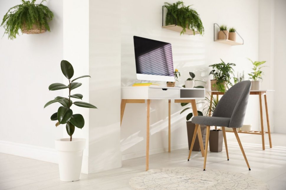 Dorești să amenajezi casa în stil minimalist? Iată cum să alegi decorul! 