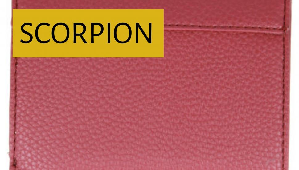 HOROSCOP. Lidia Fecioru: Cum își umple portofelul fiecare zodie 693505