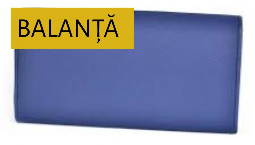 HOROSCOP. Lidia Fecioru: Cum își umple portofelul fiecare zodie 693506