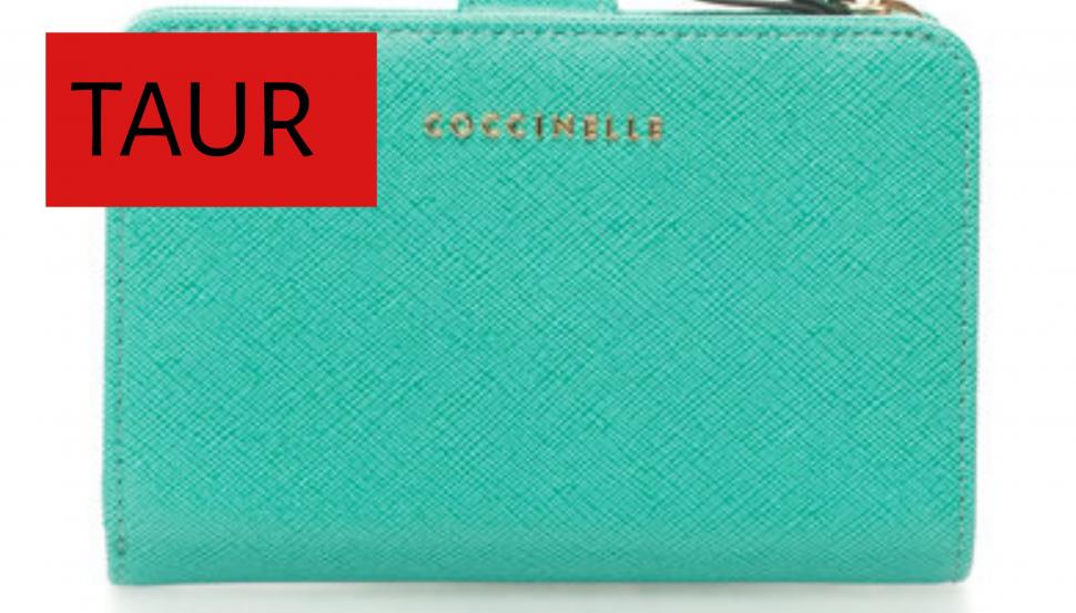 HOROSCOP. Lidia Fecioru: Cum își umple portofelul fiecare zodie 693511