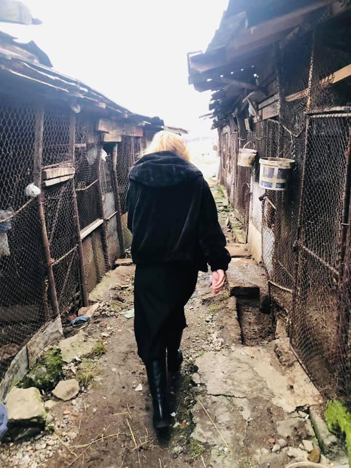 Primarul Elena Lasconi anunță că va demola cotețele din Câmpulung Muscel 694118