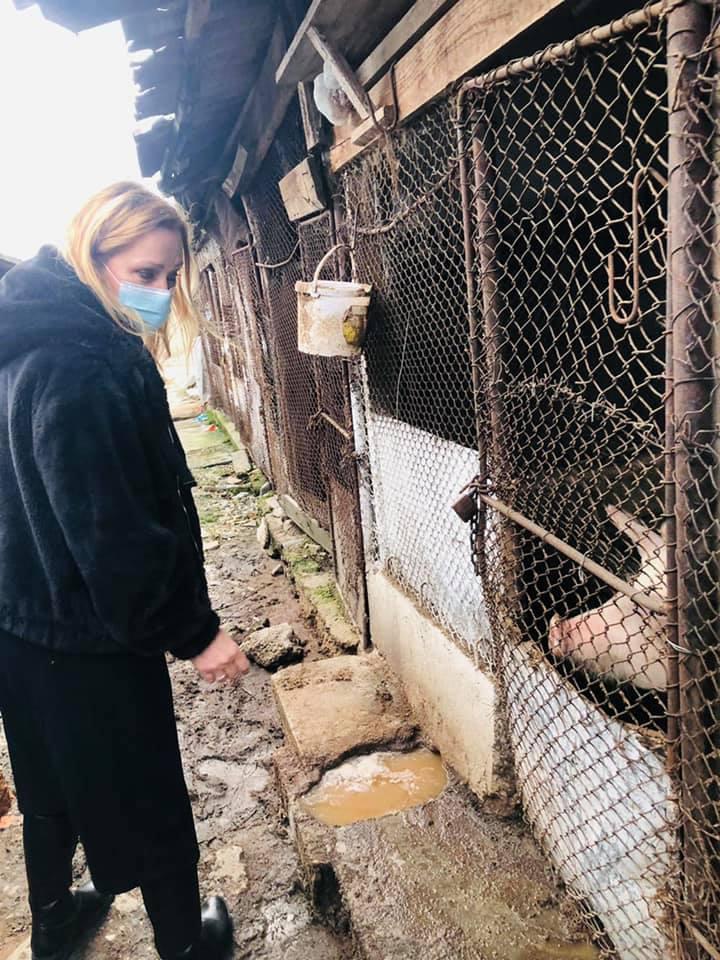 Primarul Elena Lasconi anunță că va demola cotețele din Câmpulung Muscel 694119