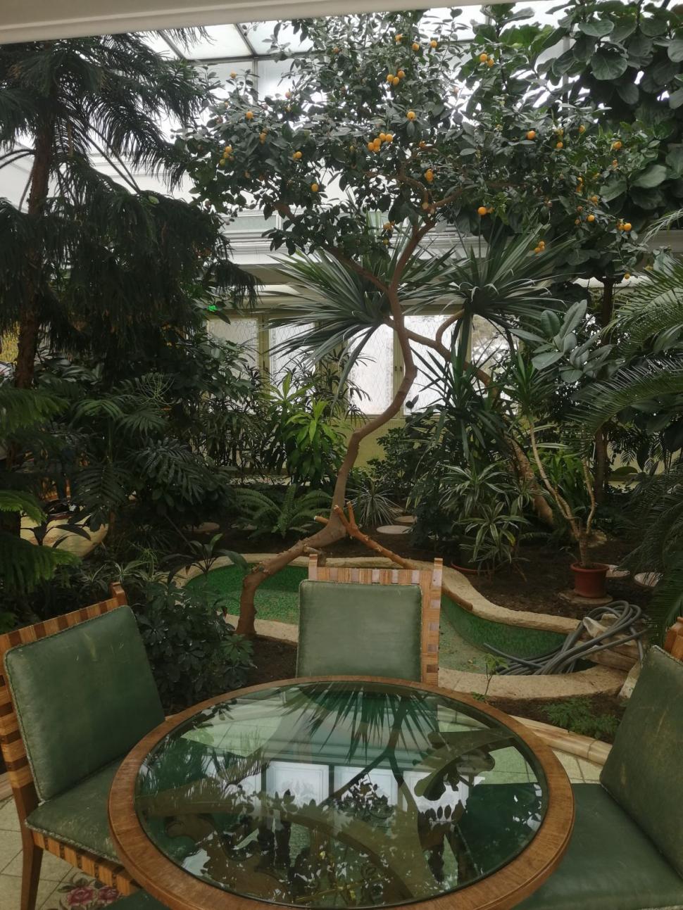 Imagini exclusive din ''Casa Ceauşescu'', palatul de lux din centrul Capitalei 694223