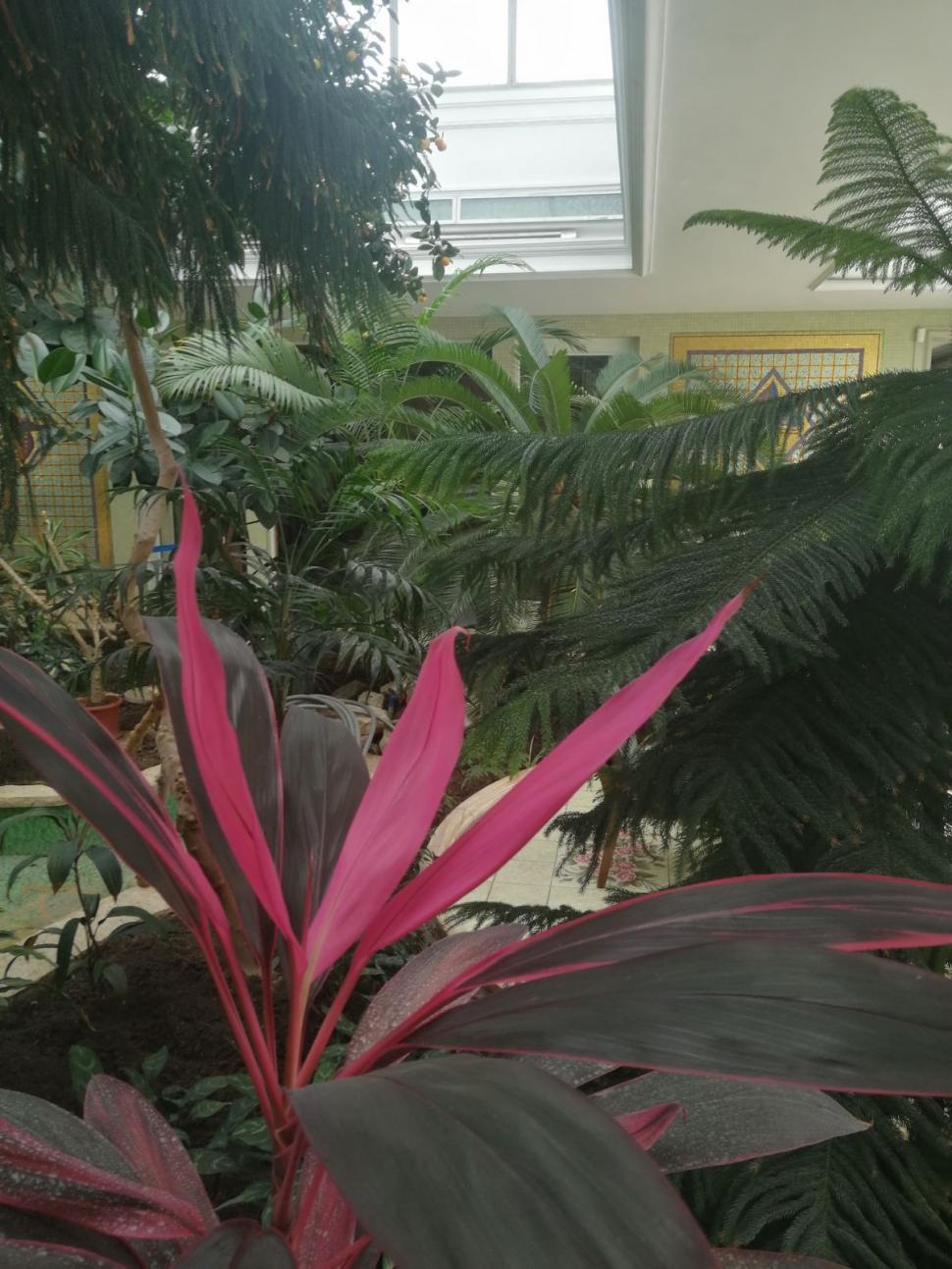 Imagini exclusive din ''Casa Ceauşescu'', palatul de lux din centrul Capitalei 694225