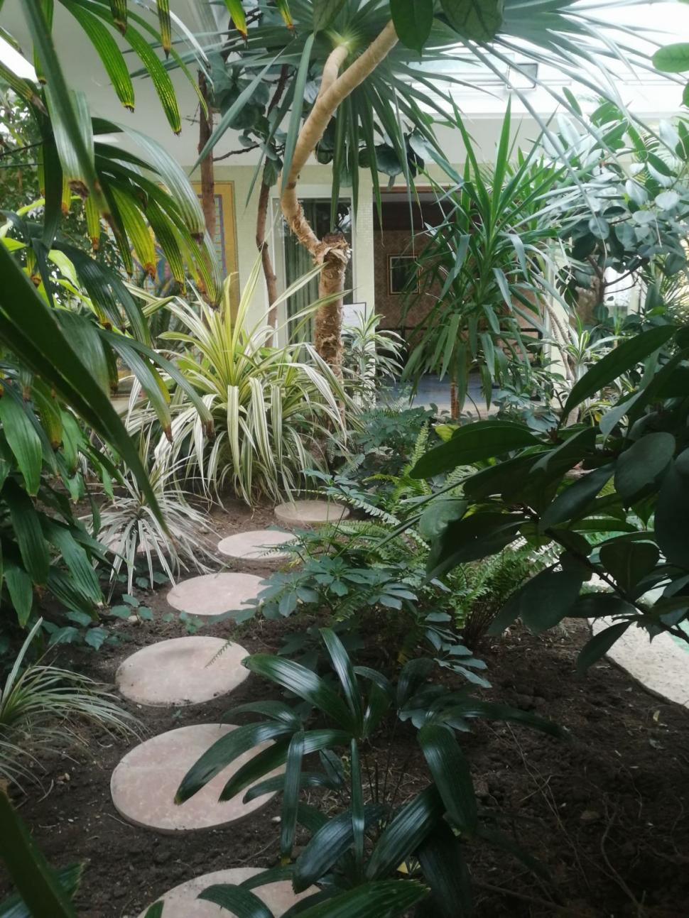 Imagini exclusive din ''Casa Ceauşescu'', palatul de lux din centrul Capitalei 694235