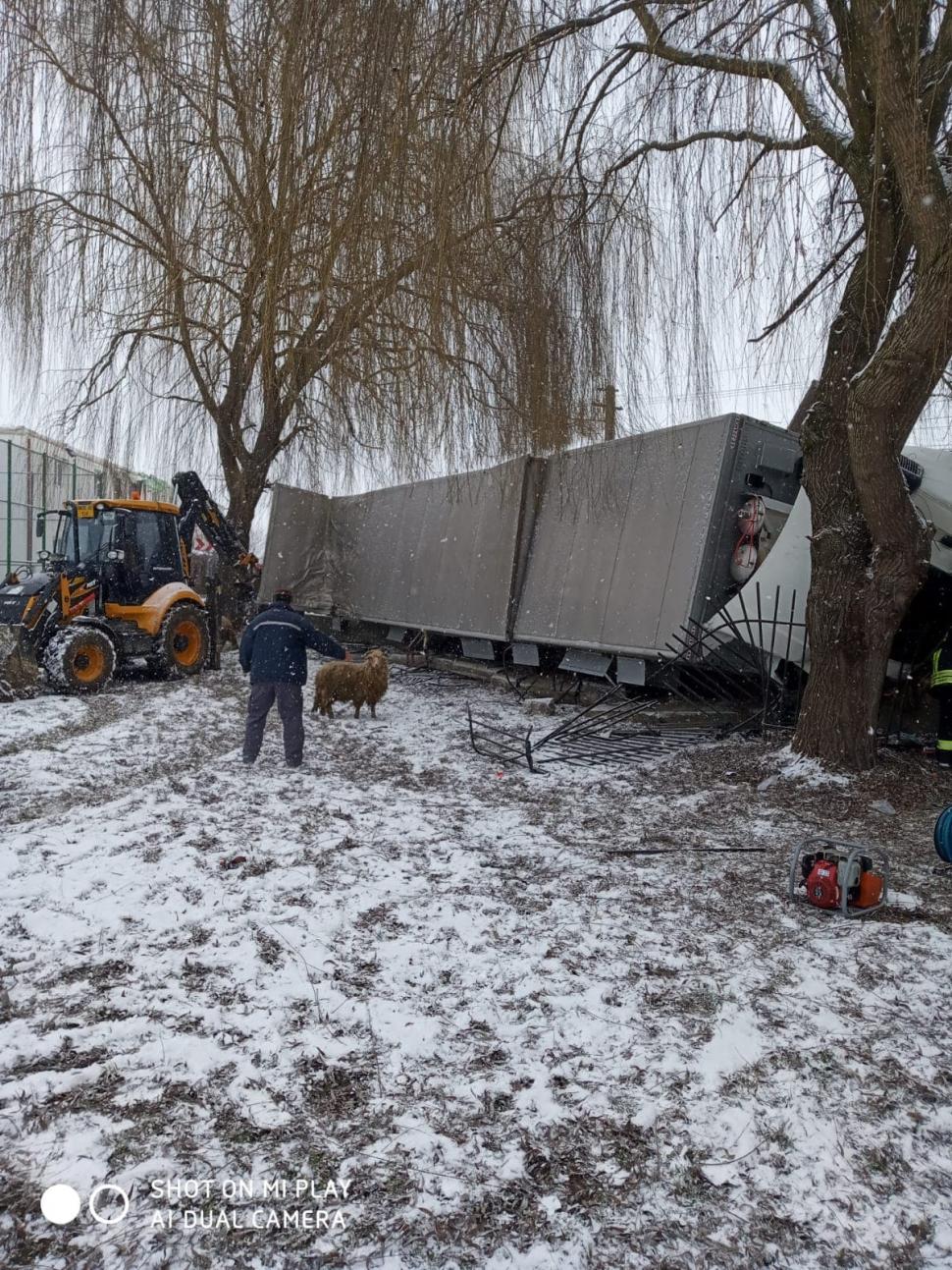 Un TIR cu oi s-a răsturnat şi a intrat în gardul unei şcoli 694667