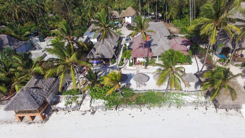 Un român a construit un hotel în Zanzibar, în plină pandemie. Mesajul său pentru cei care l-au criticat: "Papagalilor, noul meu bloc" 694720