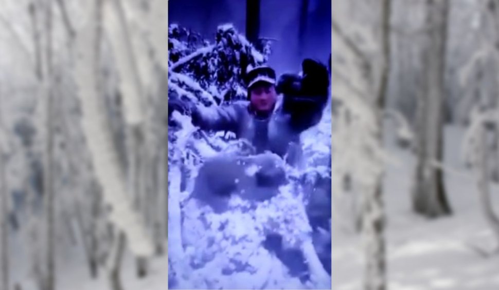 Au fost identificaţi muncitorii forestieri care au scos puii de urs din bârlog şi i-au aruncat în zăpadă. Ce riscă pentru fapta lor