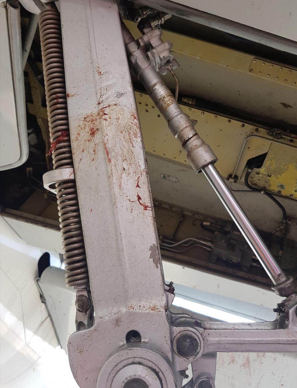 Așa arată locul impactului cu un stol de păsări care a lovit un avion la aterizare pe aeroportul din Cluj-Napoca 696615