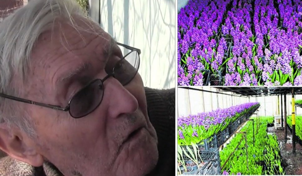 Cel mai bătrân florar din Europa trăieşte în Arad. Are 93 de ani şi un vis măreţ