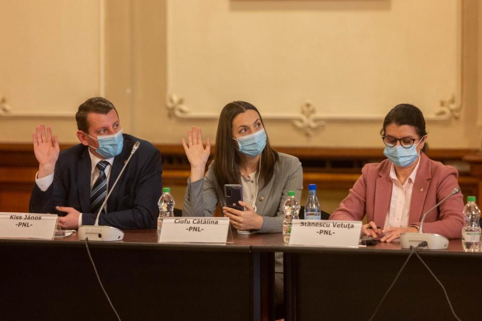 Firea: Amendament pentru alocarea a 100 de milioane de euro pentru modernizarea CET-urilor, respins 696814