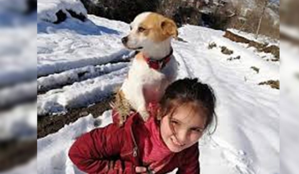 O fetiță de 9 ani din Turcia și-a cărat câinele pe spate doi kilometri, în zăpadă, pentru a ajunge la veterinar