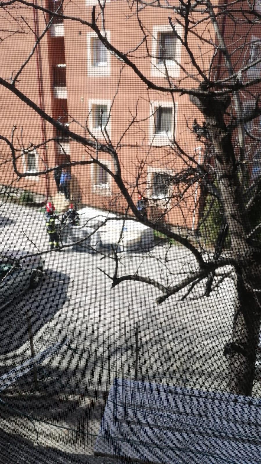 A murit studentul care se aruncase de pe acoperișul unui cămin din București 697623