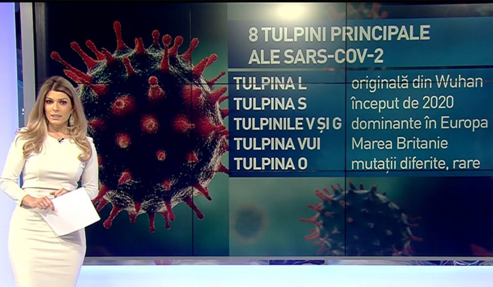 Mutațiile COVID extrem de periculoase. Diferențele celor 3 tulpini existente în România. Dr. Țincu: ”S-ar putea să avem nevoie de noi vaccinuri”