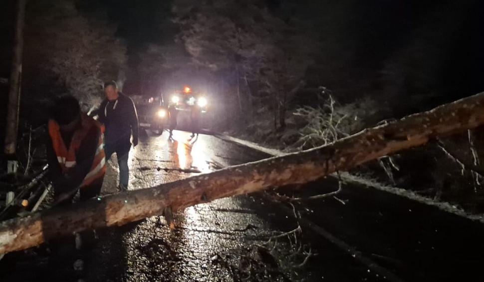Copacii doborâţi de vremea rea au blocat drumuri şi căi ferate în Covasna, Braşov şi Hunedoara 699168