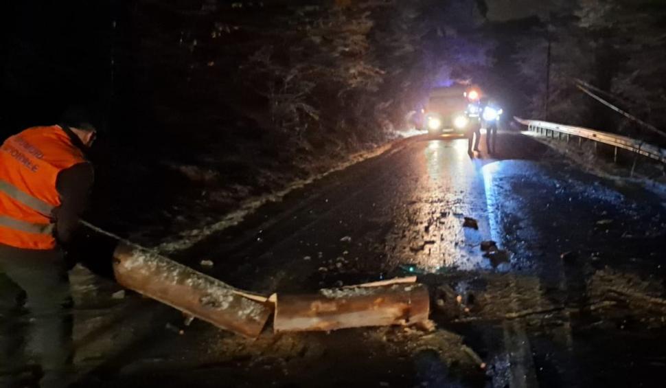 Copacii doborâţi de vremea rea au blocat drumuri şi căi ferate în Covasna, Braşov şi Hunedoara 699169