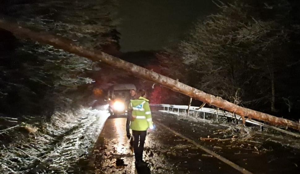 Copacii doborâţi de vremea rea au blocat drumuri şi căi ferate în Covasna, Braşov şi Hunedoara 699170