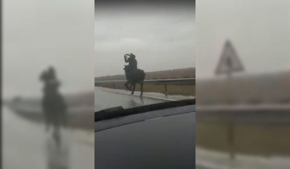 Călare pe cal, prin ploaie, pe drumul european. Poliţia din Dolj îl caută pe bărbatul care a galopat printre maşini | VIDEO