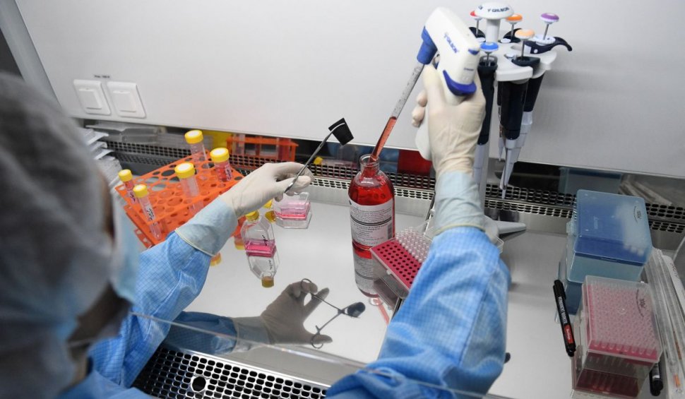 Sursa pandemiei de COVID, găsită de OMS după ce a căutat-o prin China câteva luni