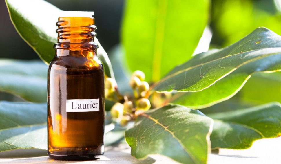 Cum folosim corect uleiurile esenţiale în aromaterapie | VIDEO