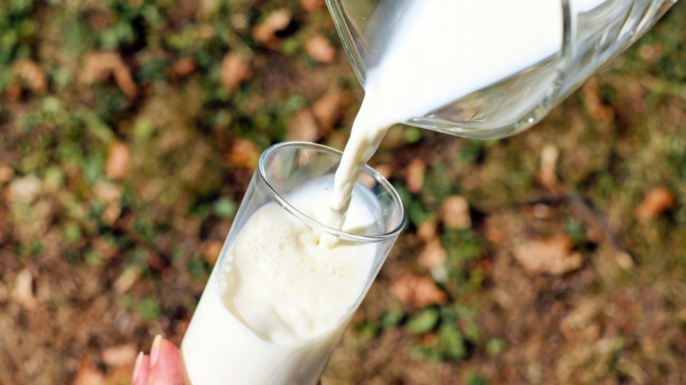 Laptele, un pericol pentru sănătatea adulților. Simptomele care ne spun că nu mai trebuie să îl consumăm