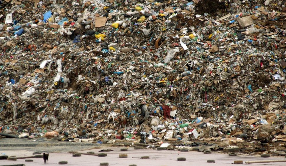 Surse: 50 de containere cu gunoi din Europa, descoperite în Portul Constanţa. Forma sub care erau trecute deşeurile în documente