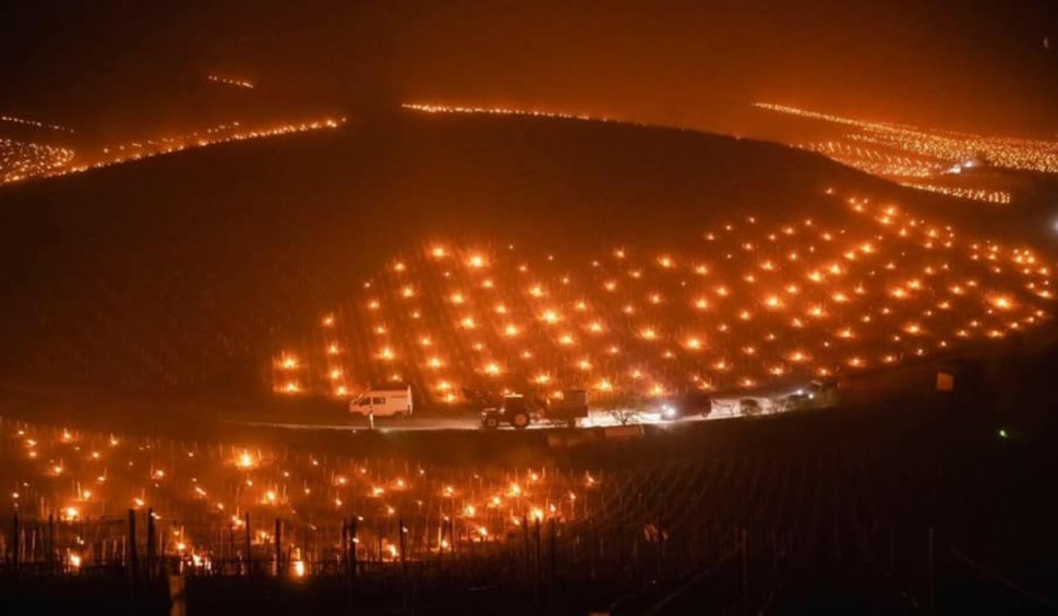 Imagini cu lupta viticultorilor din Franța pentru a salva cele mai scumpe vinuri din lume, după ce temperaturile au scăzut cu 35 de grade într-o zi
