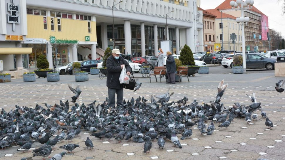 Orașul din România unde oamenii vor primi amenzi dacă hrănesc porumbeii și câinii de pe stradă