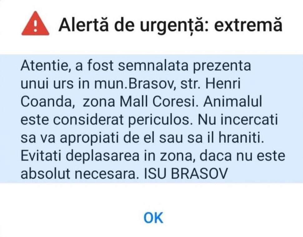Un urs a fost surprins la mall-ul din Brașov. ISU a emis un mesaj RO-Alert 704325