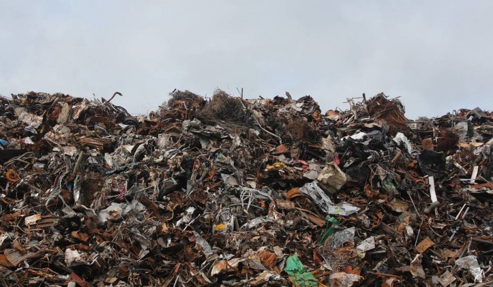 Containere pline de deșeuri, confiscate în Portul Constanța