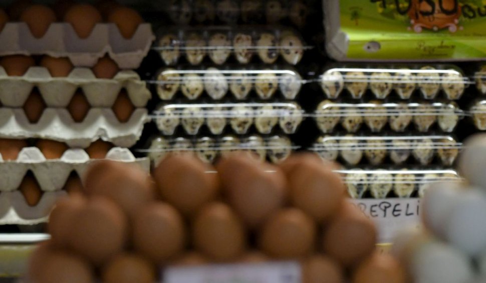 Aproape 300.000 de ouă cu Salmonella, depistate şi oprite de la vânzare în Bucureşti