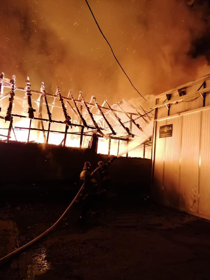 Incendiu violent la o fabrică de mobilă din Reghin. ISU Mureș a cerut sprijin din județele alăturate 705159